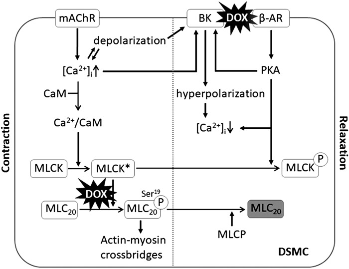 Fig. 7.