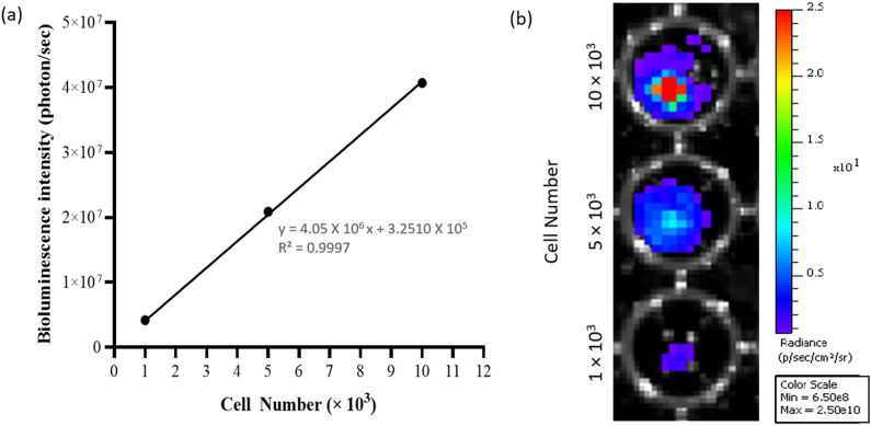 Fig. 4