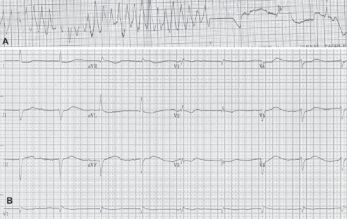 Figure 1)