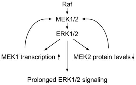 graphic file with name nihms708049u1.jpg