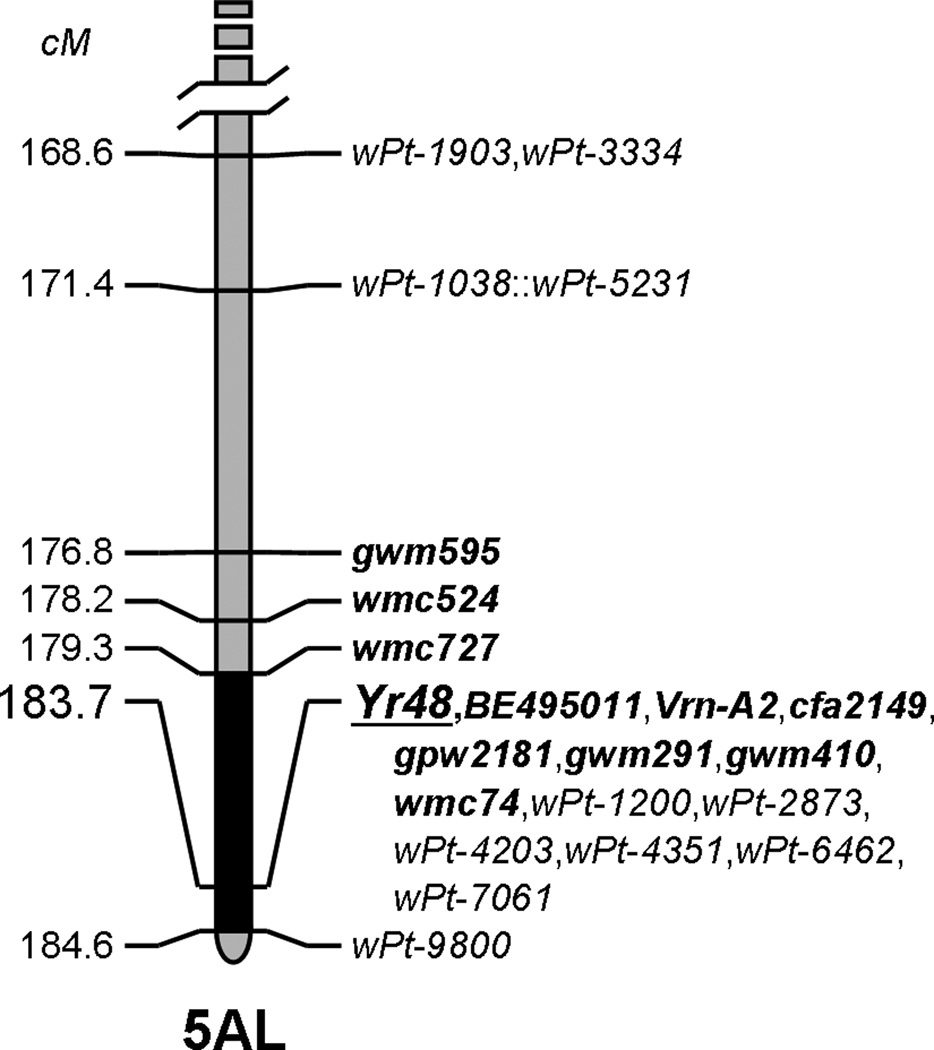 Fig. 5