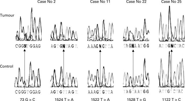 Figure 2  