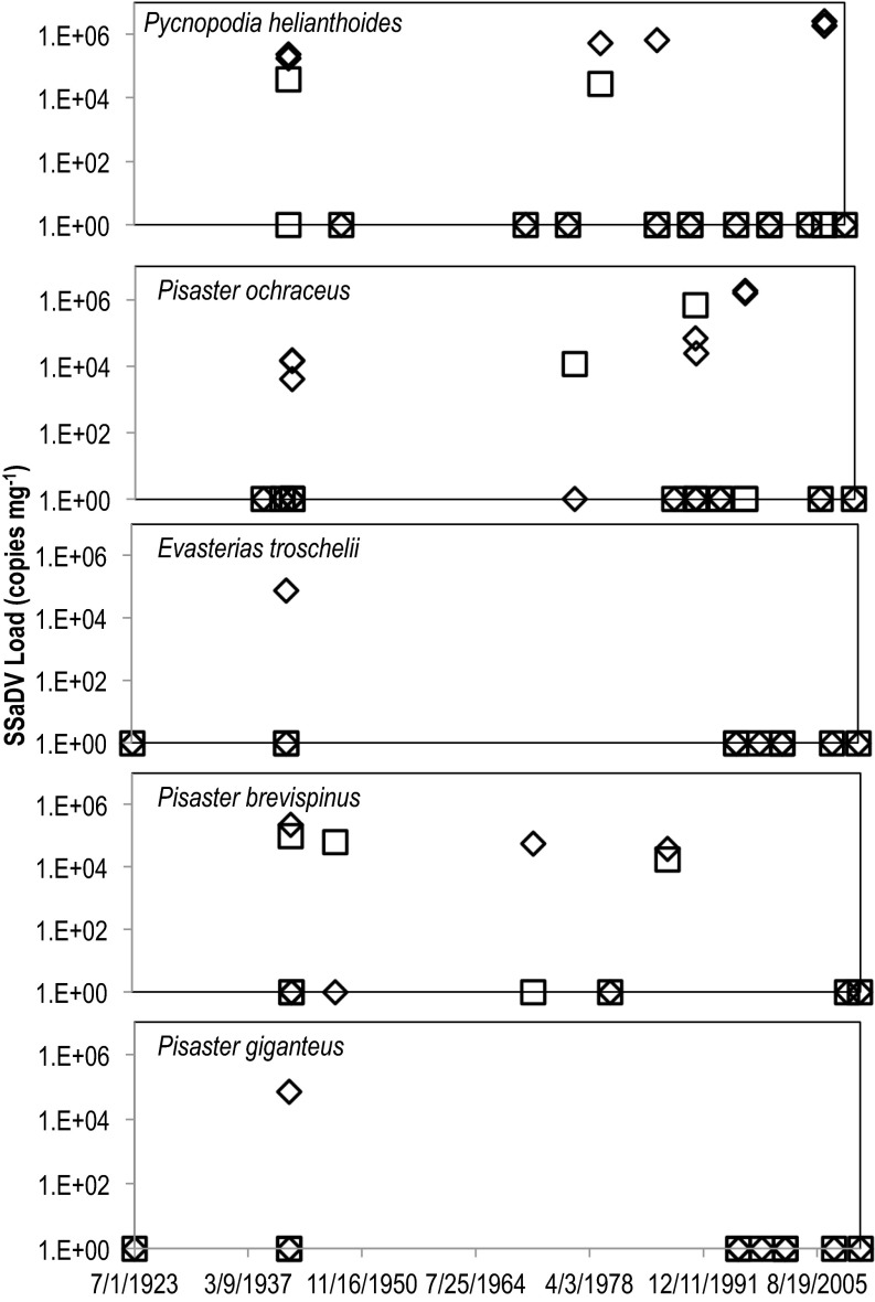 Fig. 10.