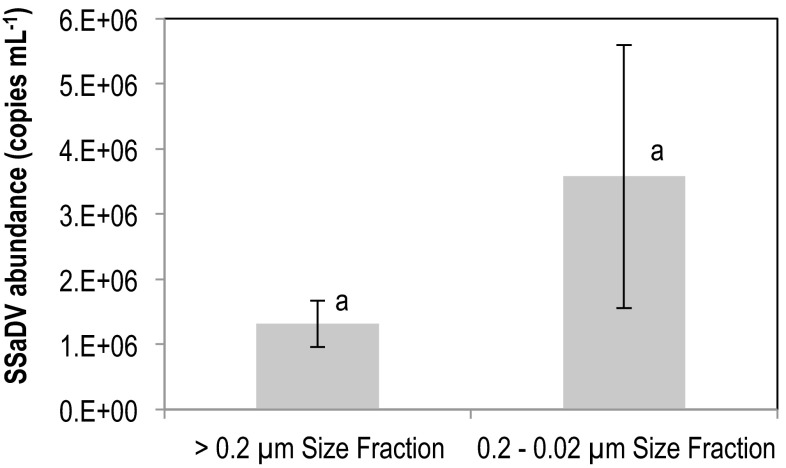 Fig. 8.