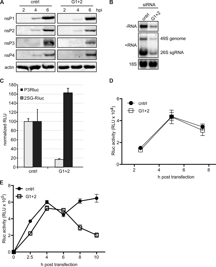 FIG 7