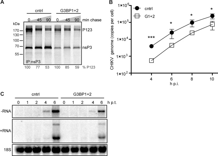 FIG 6