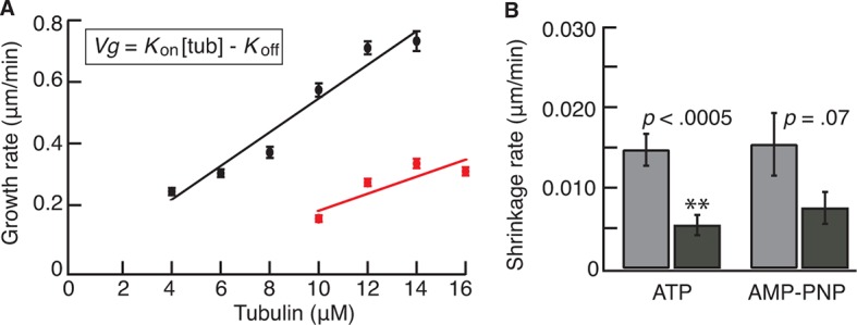 Figure 1—figure supplement 3.