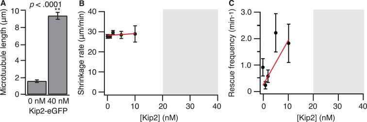 Figure 1—figure supplement 1.