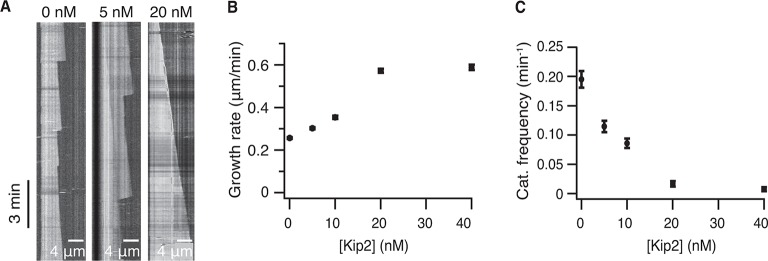 Figure 1—figure supplement 2.