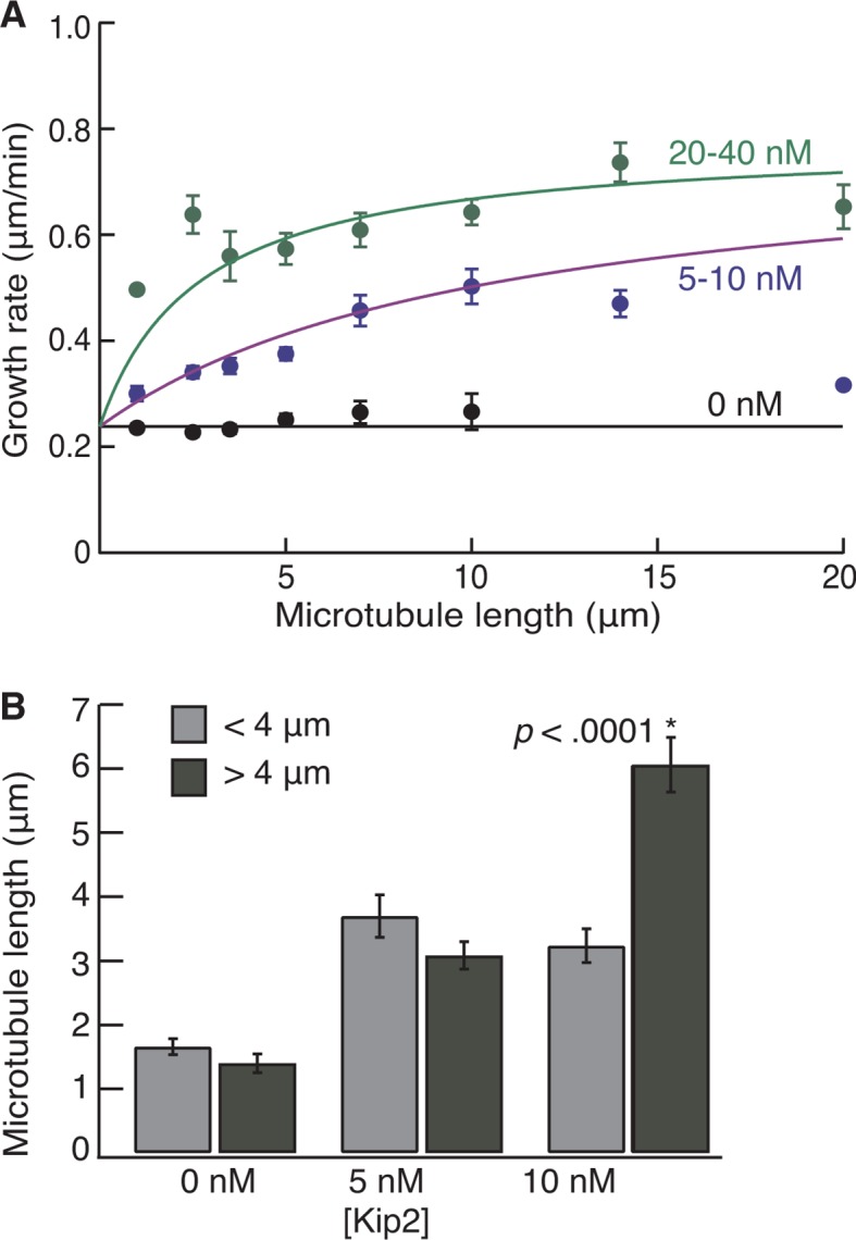 Figure 4—figure supplement 1.