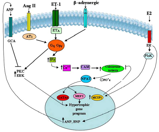 Fig. 7