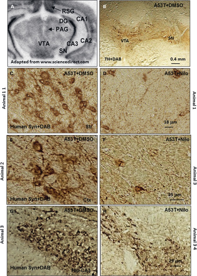 Figure 3.