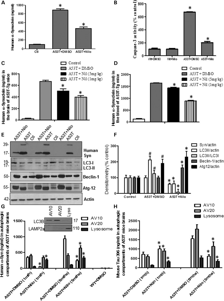 Figure 2.