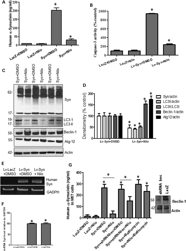 Figure 4.