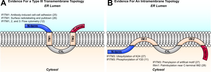 FIGURE 1.