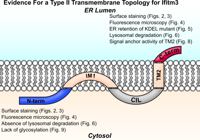 FIGURE 10.