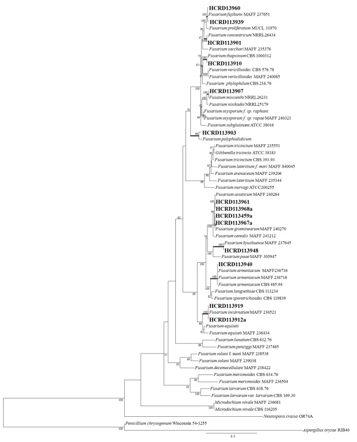 Figure 2