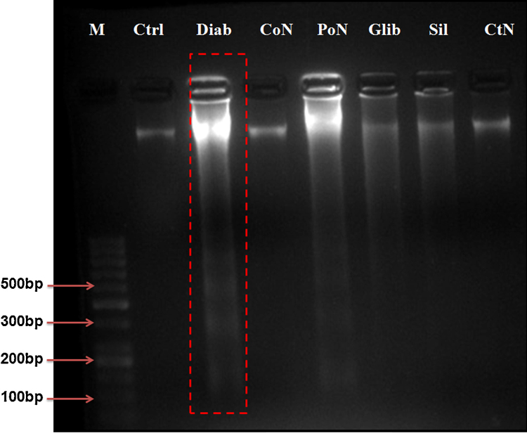 Fig. 7