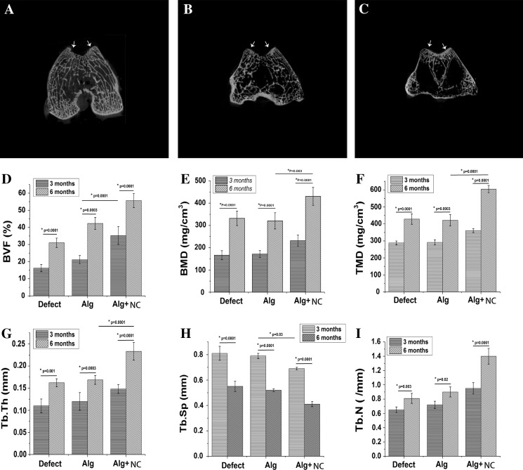 Fig. 6