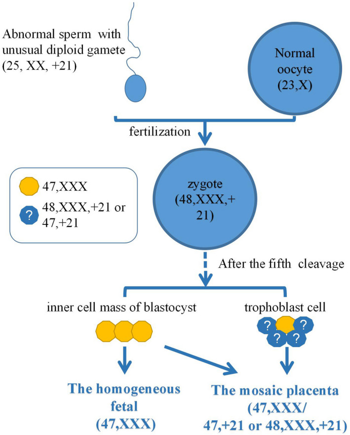 FIGURE 1