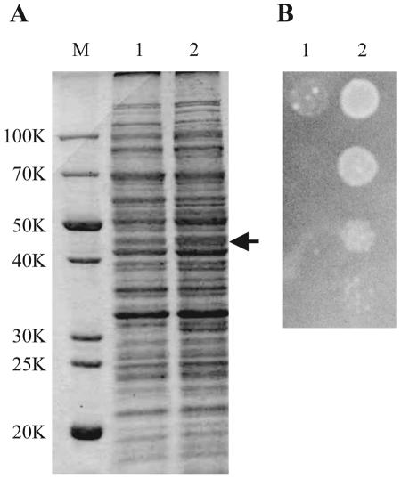 FIG. 7.