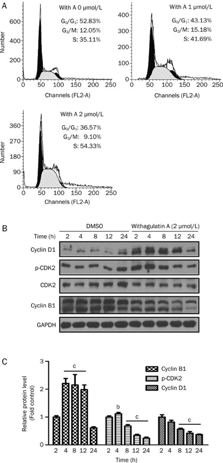 Figure 2