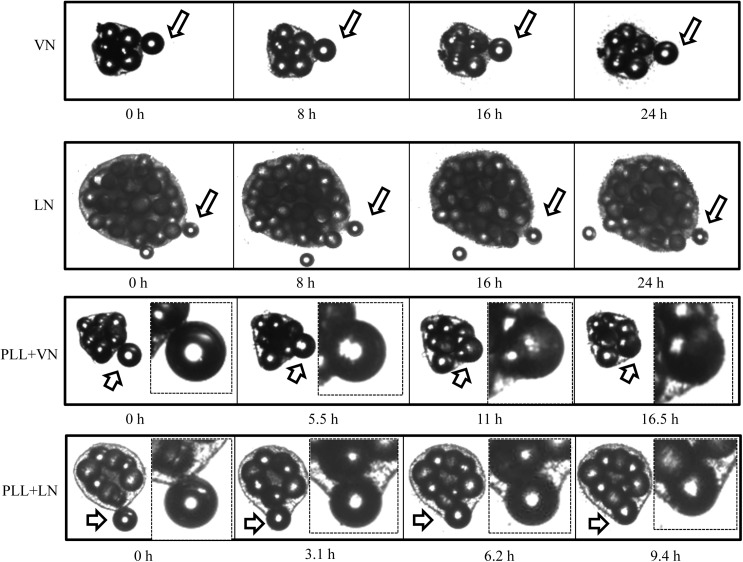 FIG. 7.