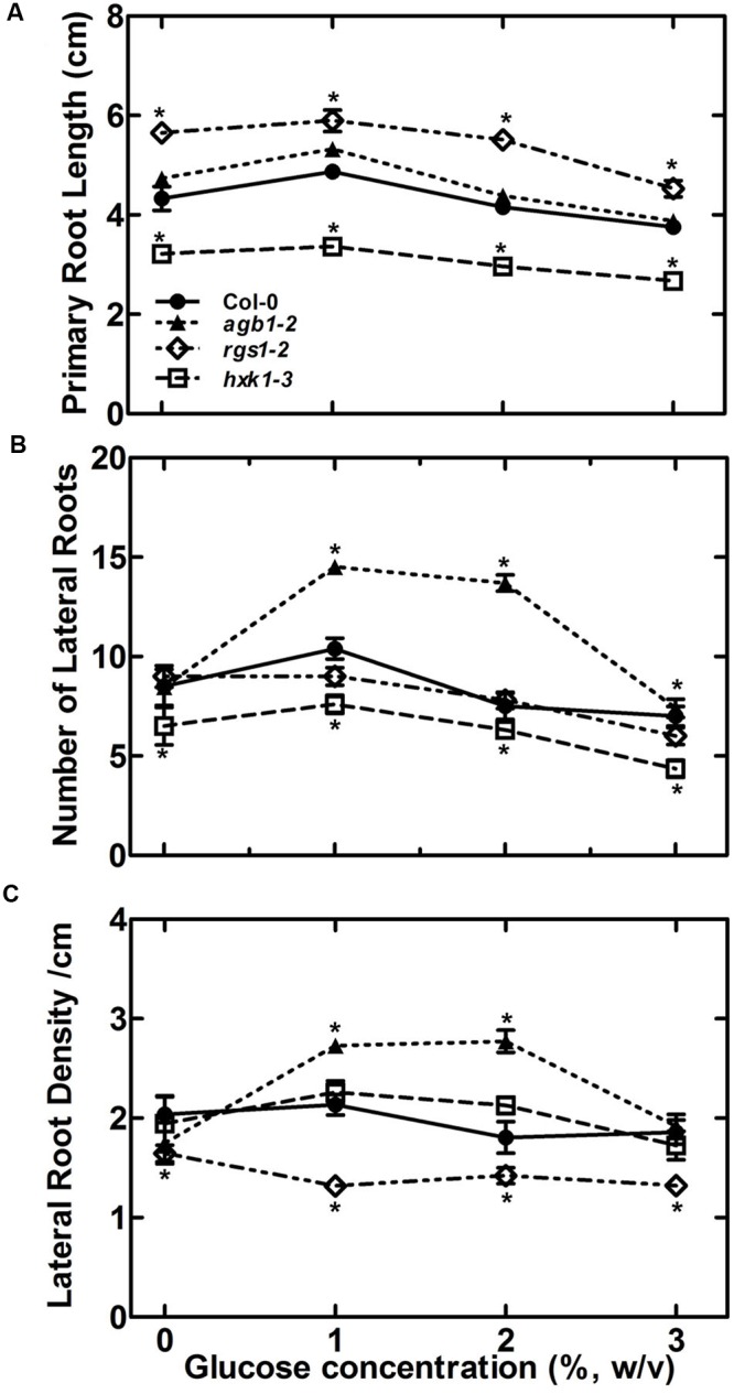 FIGURE 3