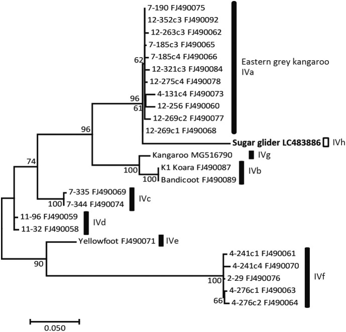 Fig. 1