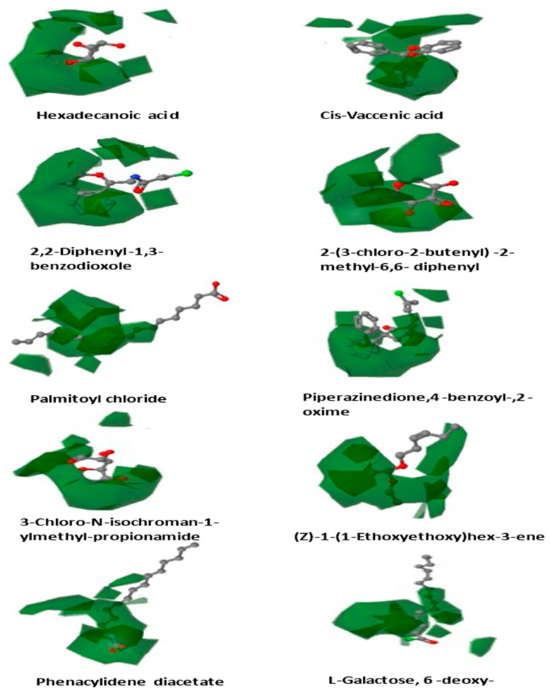 Figure 5