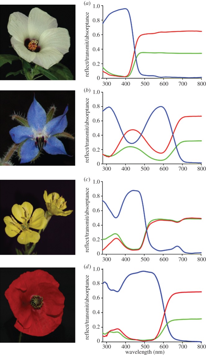 Figure 2.