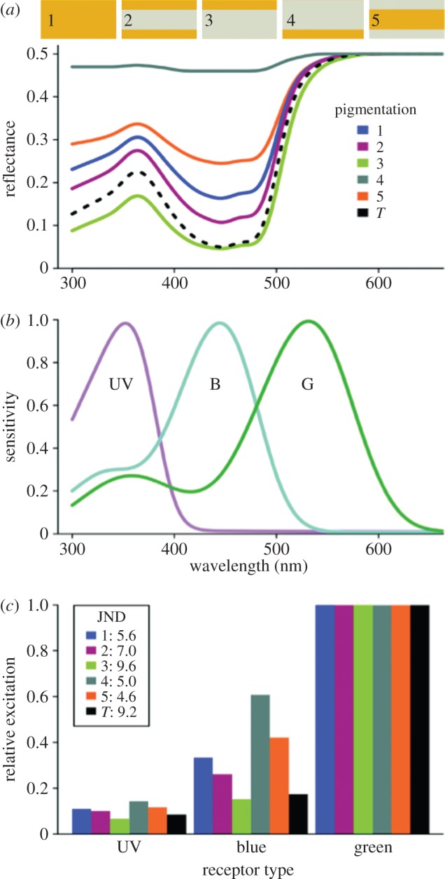 Figure 5.