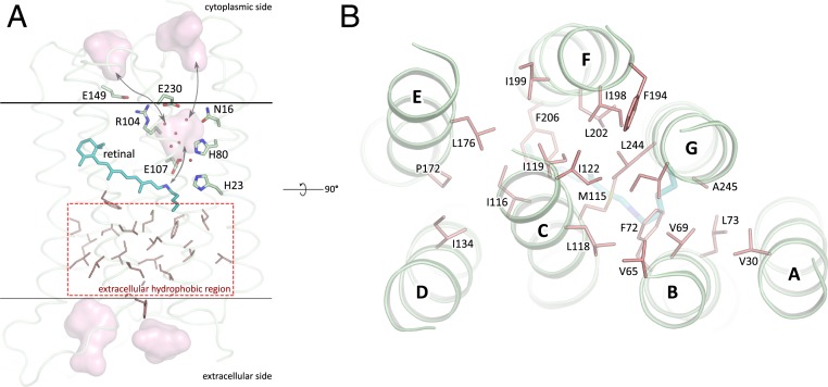 Fig. 4.