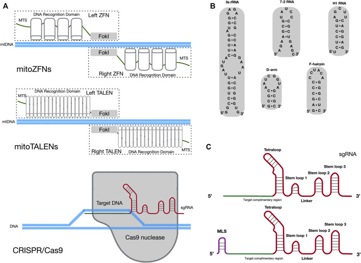 FIGURE 1