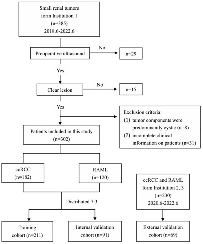 Figure 1