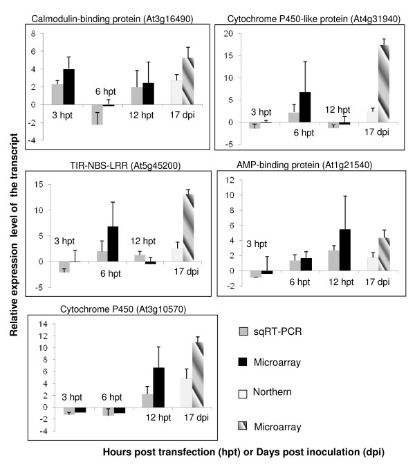 Figure 7