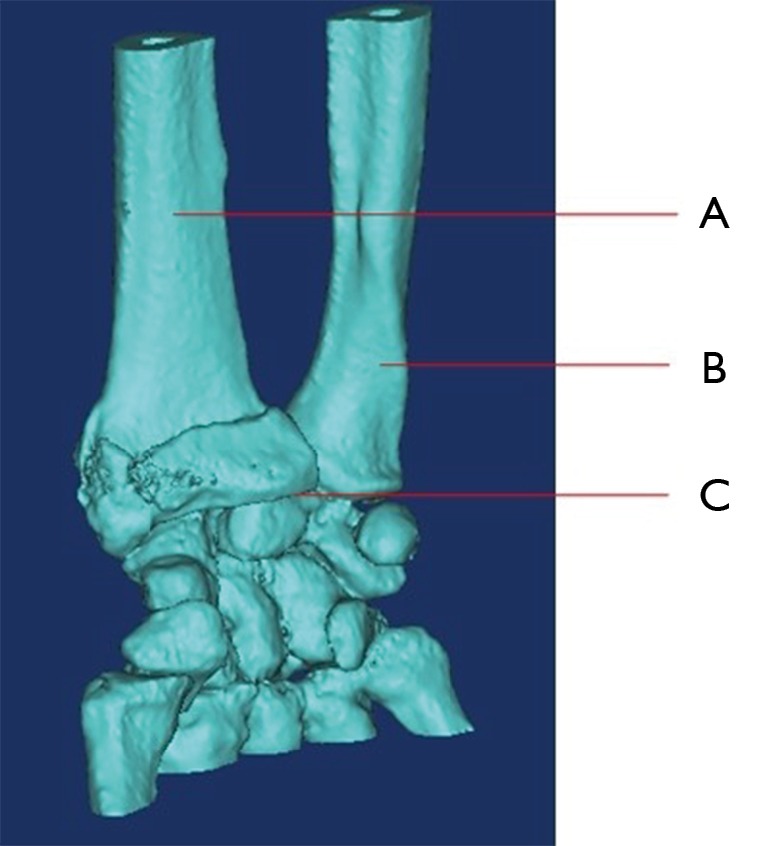 graphic file with name atm-06-20-403-fig1.jpg