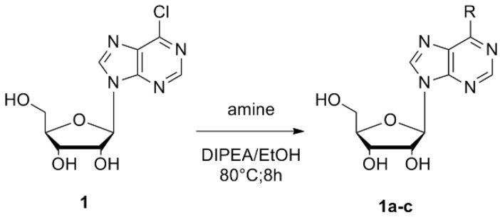 Scheme 1