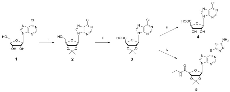 Scheme 2