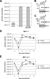 FIG. 2.