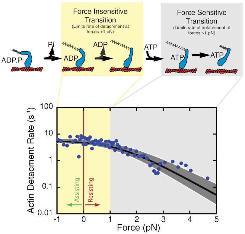 Fig. P1.