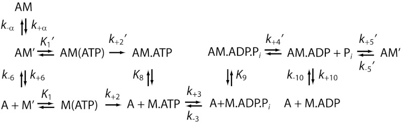 Scheme 1.