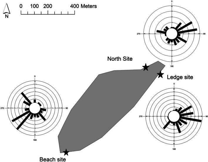 Fig. 5