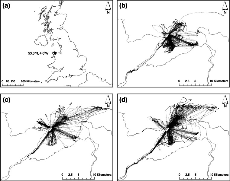 Fig. 1