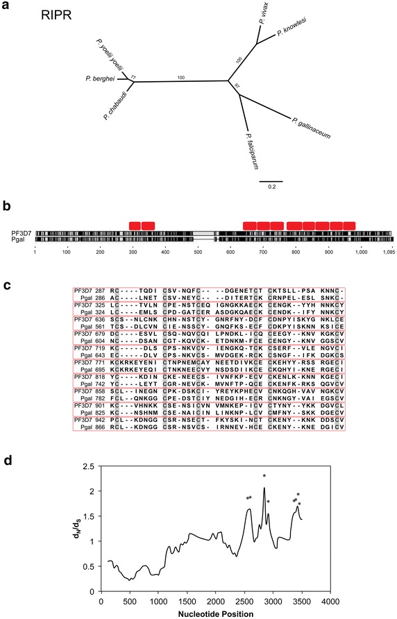 Fig. 3