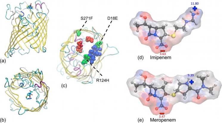 FIGURE 1.