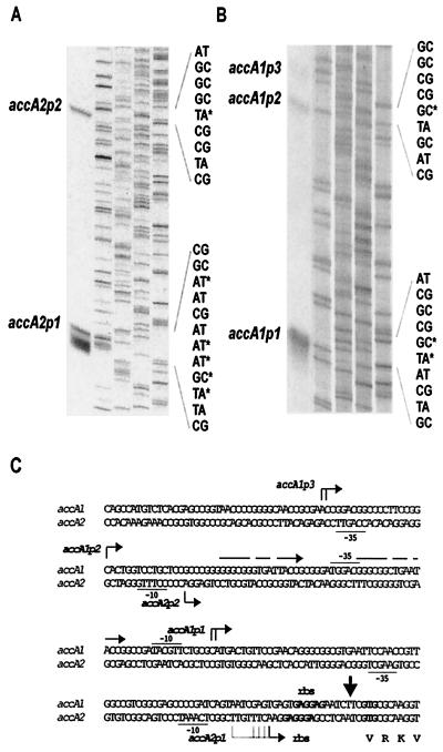 FIG. 6