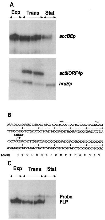 FIG. 5