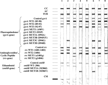 FIG. 1.