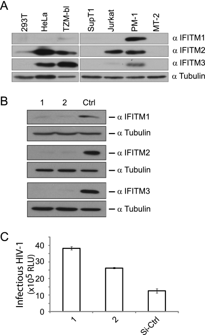 FIG. 9.